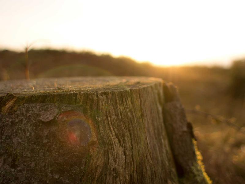 sudoku high contrast screenshot 4